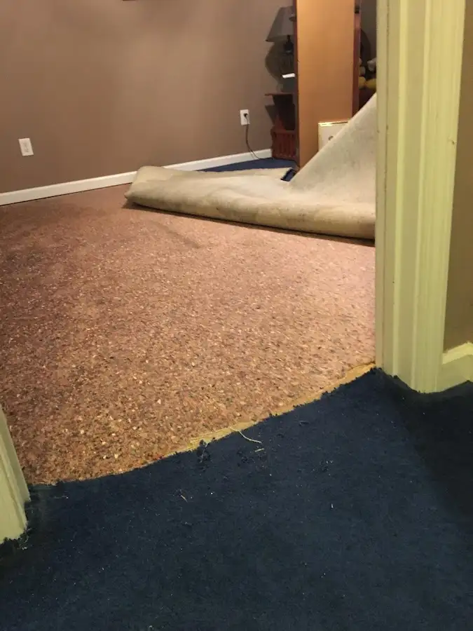 Carpet pad removal revealing water damage during Drying & Dehumidification in Lutherville