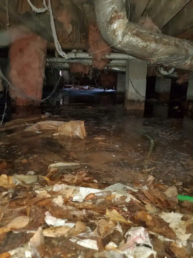 Crawl space flood assessment for Leak Detection & Repair in Lutherville