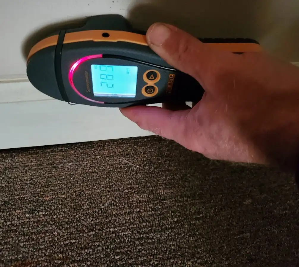 Moisture detection at baseboard during Sewage Cleanup & Sanitation in Lutherville